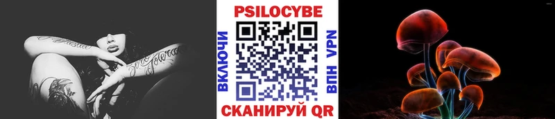 Псилоцибиновые грибы прущие грибы  darknet наркотические препараты  Протвино 